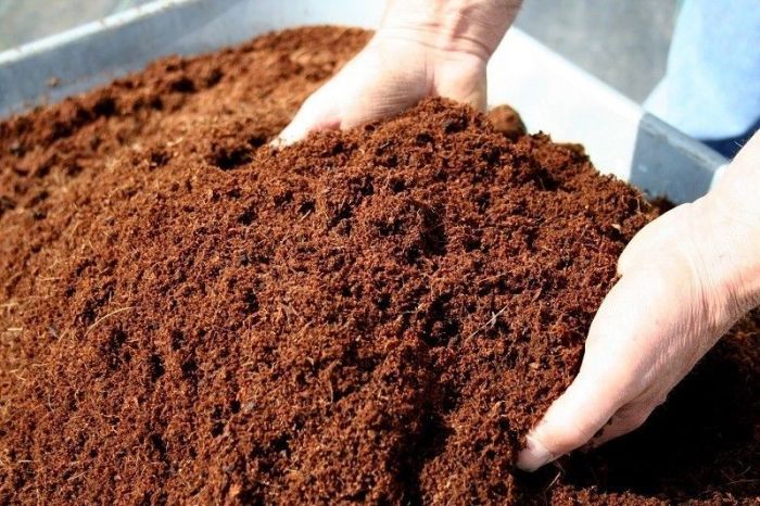 Coco Peat Suppliers in UAE