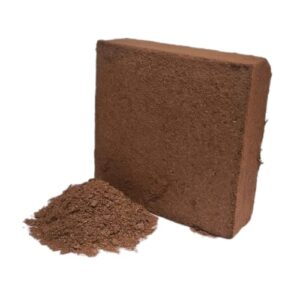 Supplier of Cocopeat Nutrient Enriched for Flowering Plants in UAE